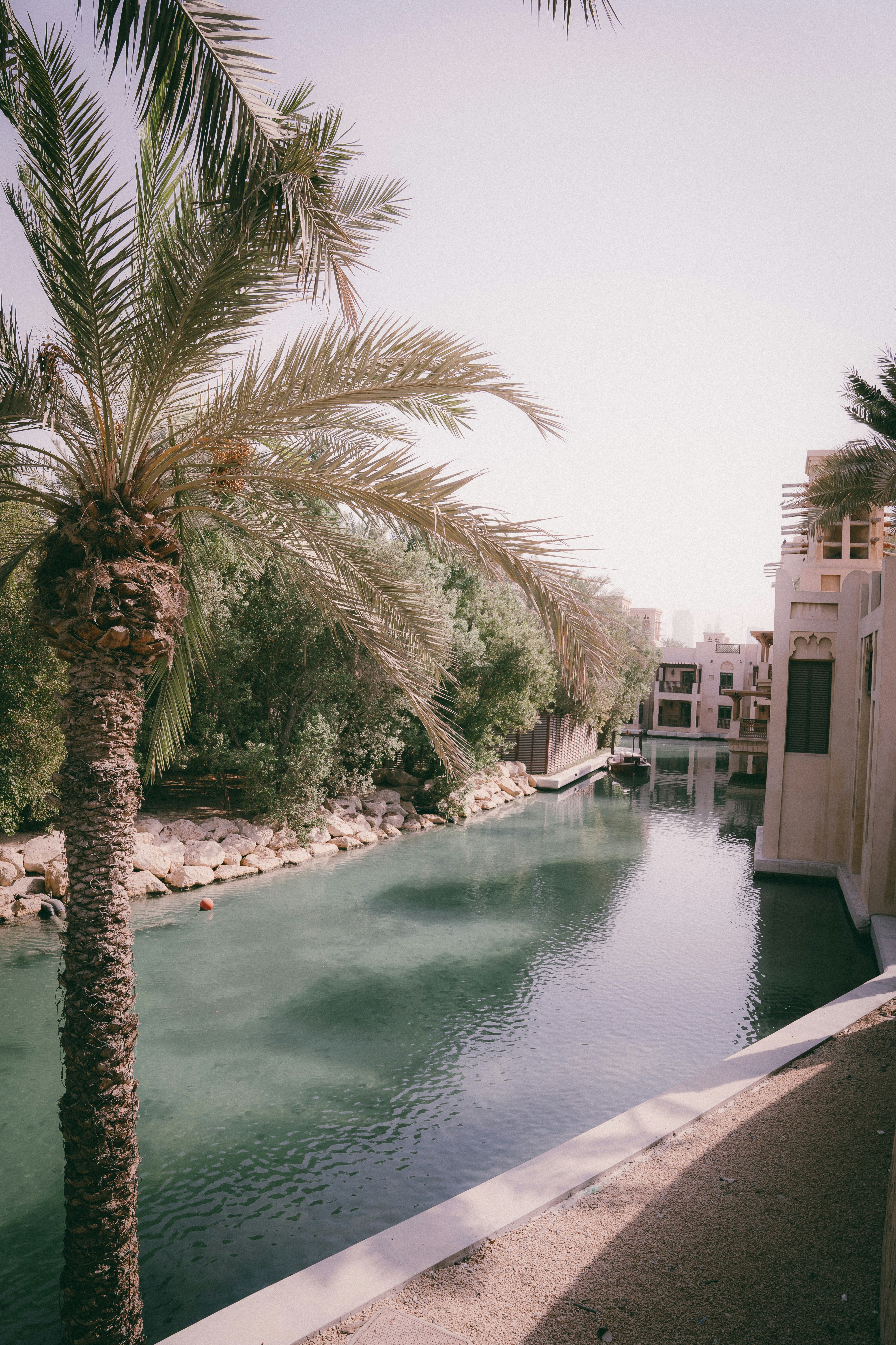 Nad Al Sheba Gardens